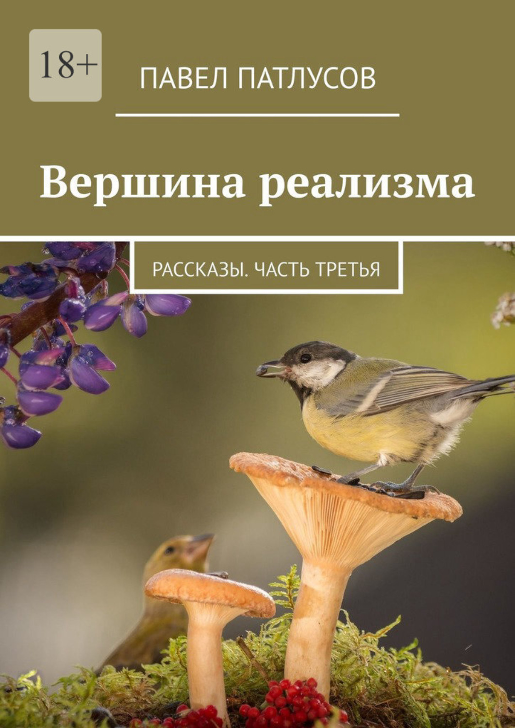 Третья читать. Все дышащее да славит Господа. Павел Патлусов книга. Все дышащее да хвалит Господа! Аллилуия.. Христианские картинки все дышащее да славит Господа.