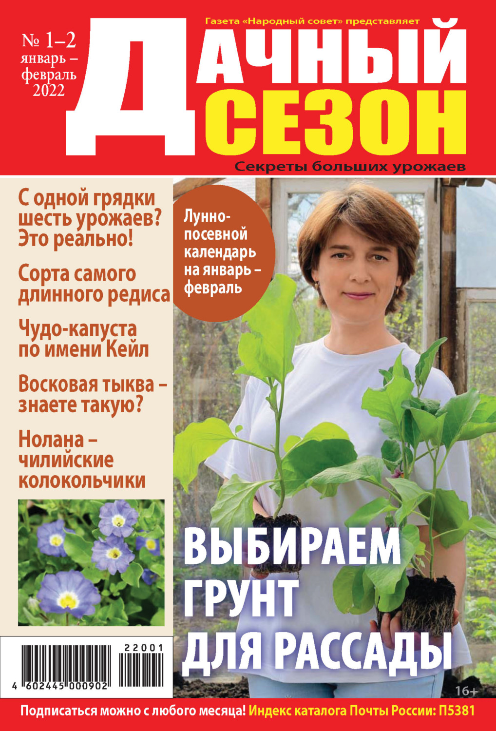 Лунный календарь на январь дачный участок