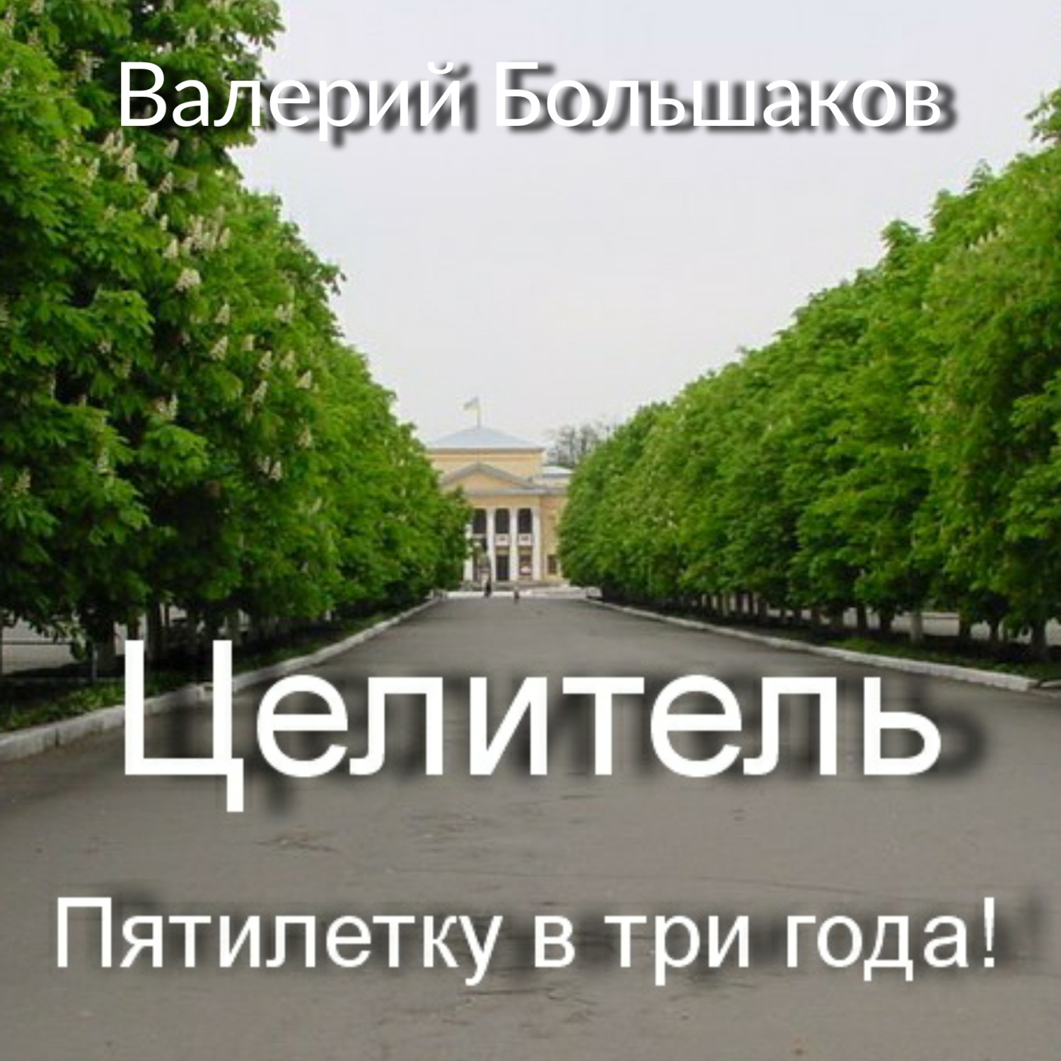 Валерий Петрович Большаков, Целитель. Пятилетку в три года! – слушать  онлайн бесплатно или скачать аудиокнигу в mp3 (МП3), издательство ЛитРес:  чтец