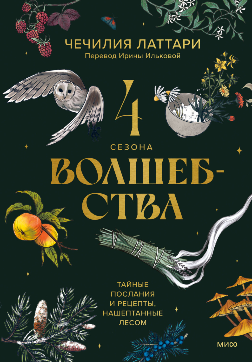 Чечилия Латтари, книга 4 сезона волшебства. Тайные послания и рецепты,  нашептанные лесом – скачать в pdf – Альдебаран, серия МИФ Культура