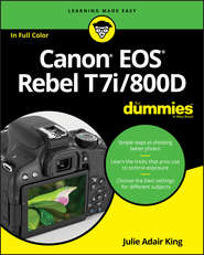 Canon EOS Rebel T7i\/800D For Dummies