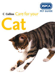 Care for your Cat