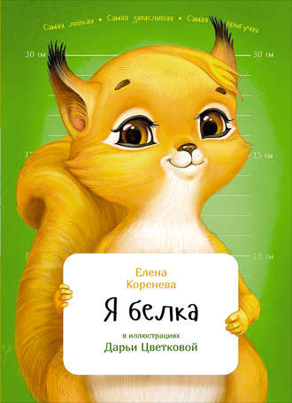 скачать картинки белка Фото белки скачать.